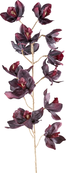 galazka-storczyk-cymbidium-ciemnoczerwony-93cm.jpg