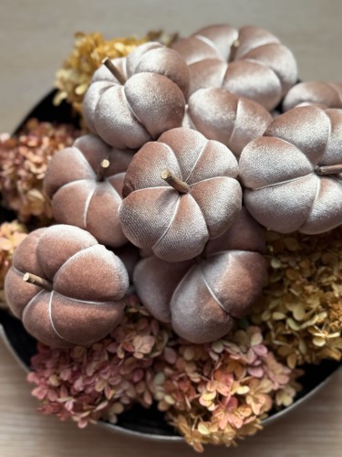 Dynia welurowa ozdobna, cappuccino, 7/9 cm