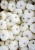 _DSC1748.jpeg