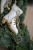 d74e0038-fe11-4105-90de-669936089022.jpeg