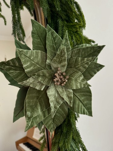 Welurowa poinsecja gwiazda betlejemska zielona