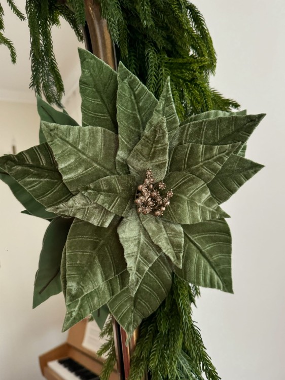Welurowa poinsecja gwiazda betlejemska zielona